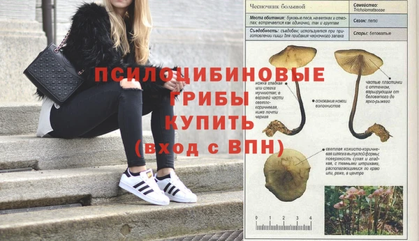 mix Арсеньев
