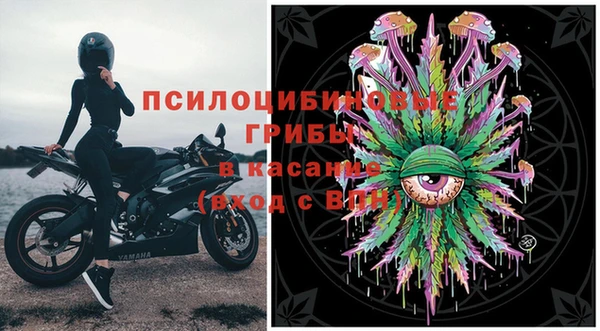 амф Аркадак