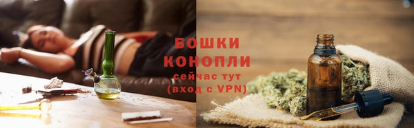 амф Аркадак