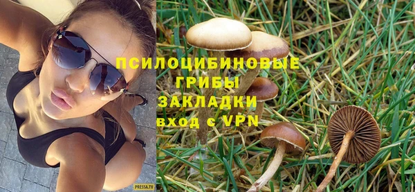 mix Арсеньев